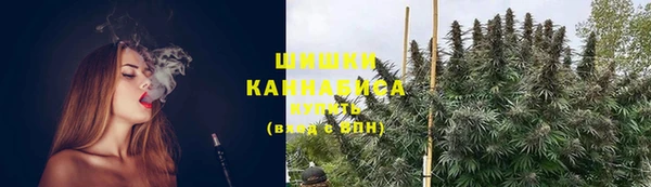 тгк Дмитров