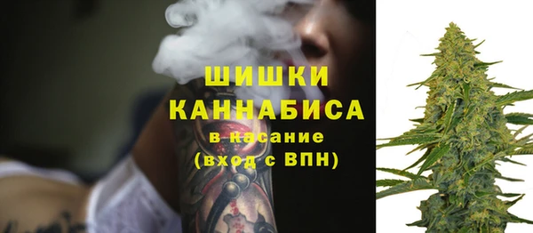 мдпв Дмитровск
