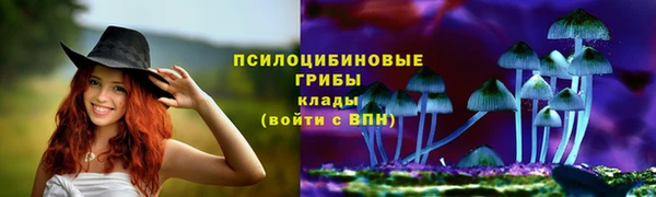 мдпв Дмитровск