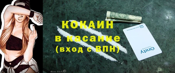 тгк Дмитров