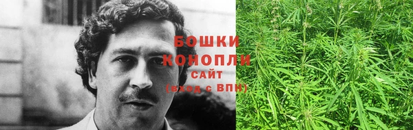 тгк Дмитров