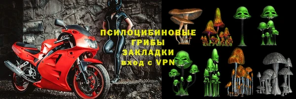 мдпв Дмитровск