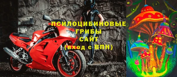 тгк Дмитров