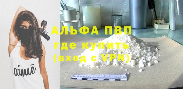 тгк Дмитров