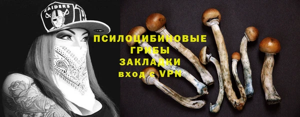 тгк Дмитров