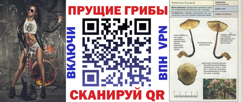 Галлюциногенные грибы Magic Shrooms мега ссылки Смоленск